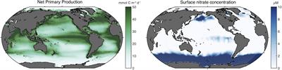 Growth Limitation of Marine Fish by Low Iron Availability in the Open Ocean